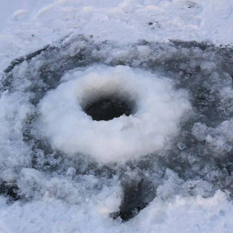 product-750-750 product-750-750